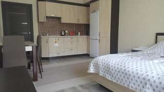 Апартаменты Very nice studio apartment in Chișinău Кишинёв Апартаменты с 1 спальней-3